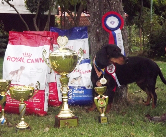 Slovenský Kopov B I S.