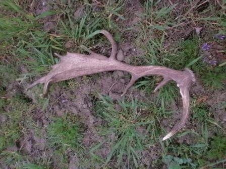 Tak, už sa to začalo...