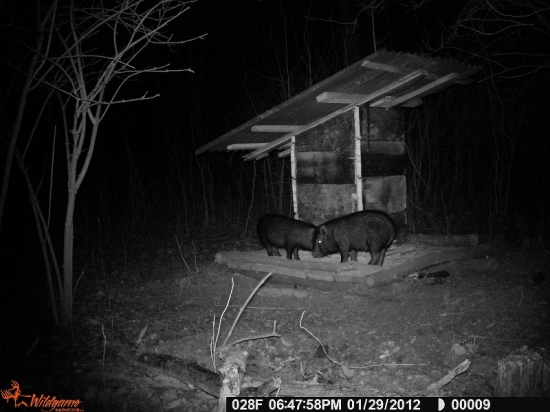 Uz len toto nam tu chybalo