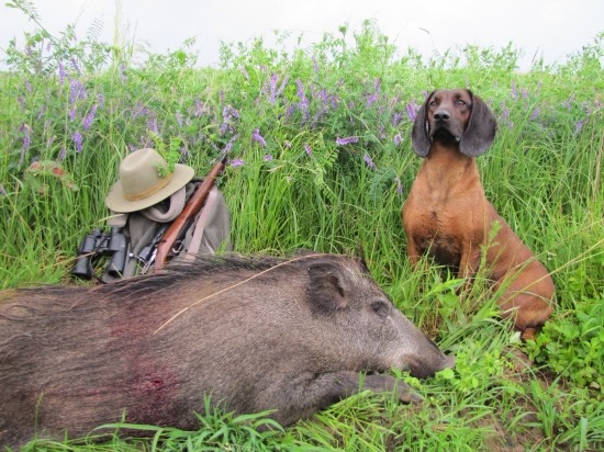 ,na Medarda kvaplo:),