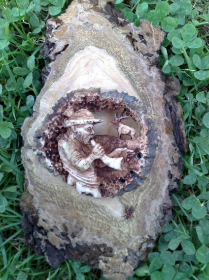 ,jeleniar2,ružica na čerešni,