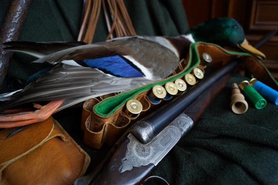 ,káčer a stará dvojka,