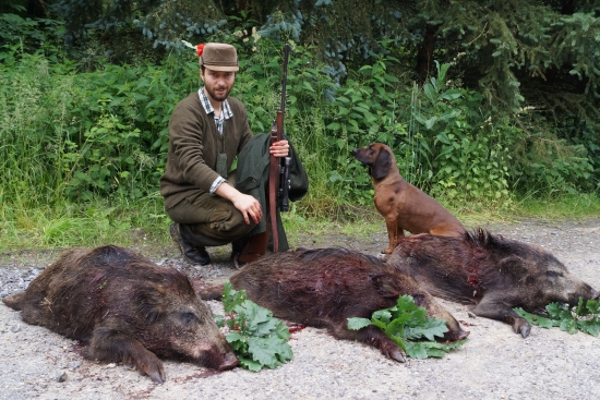,zelený koniec týždna doma,
