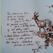 malá báseň a perokresba