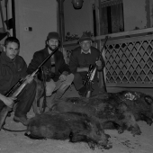 takto úspešne sme vlani začali