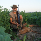 Dušanov podvečerný