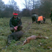 ,ked na hostovskej ide karta,