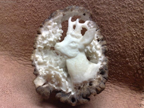 ,motýv srnca na budúcu kravatu,