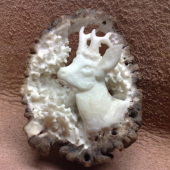 ,motýv srnca na budúcu kravatu,