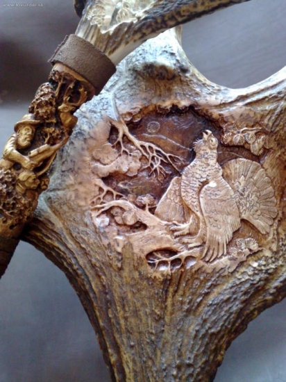 ,palica a losí zhod,