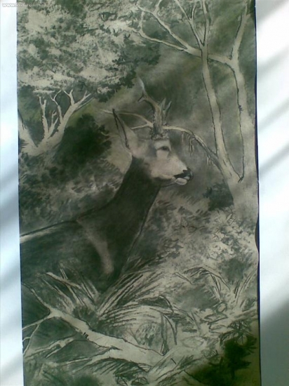 ,dnešný uhlík,60x35,