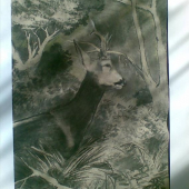 ,dnešný uhlík,60x35,