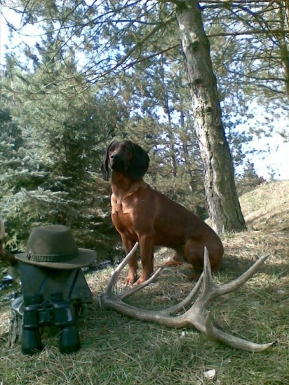 ,nájdený z nádejného,