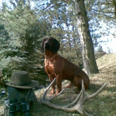 ,nájdený z nádejného,