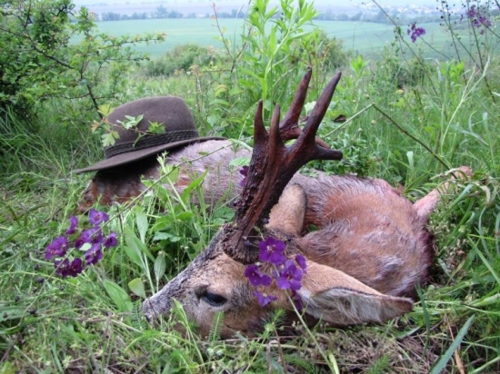 ,ked sa plnia priania,