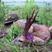 ,ked sa plnia priania,