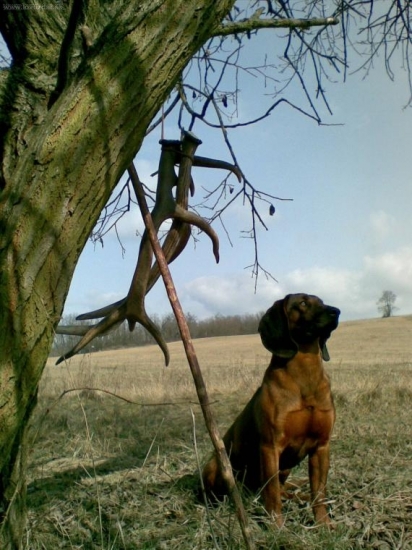 pod bačovim vrchom.