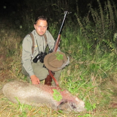 ,na čerstvom strnisku,