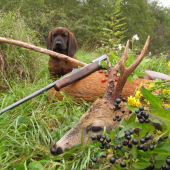 jesenný otcov výrad