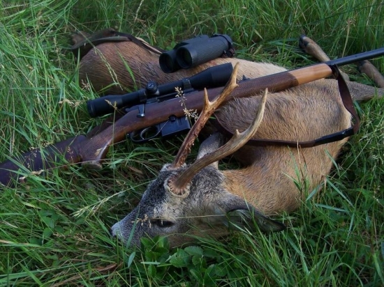 padol v ohni, Lovu zdar