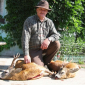 Gusztiho vydliak
