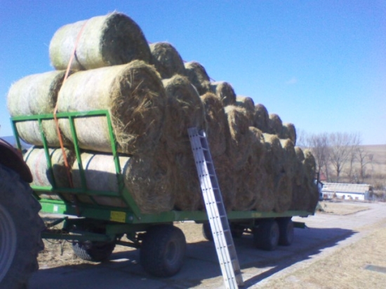 STACI NA ZIMU NE ? :D