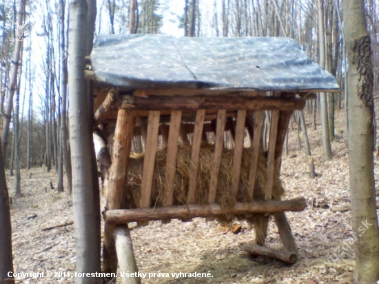 starší