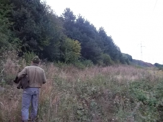 pošpičkách  ! RUJA 2011