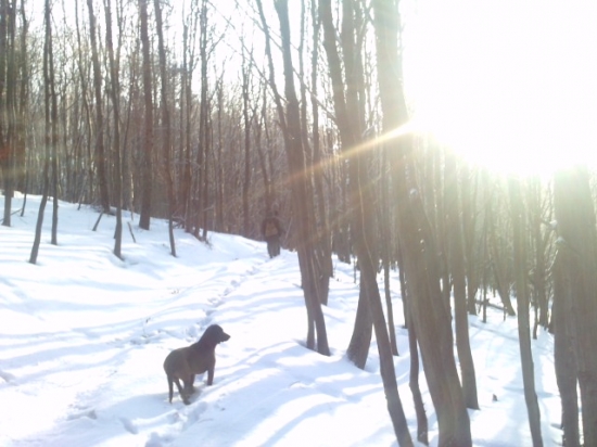 ked slniečko hreje , lepšie sa kráča