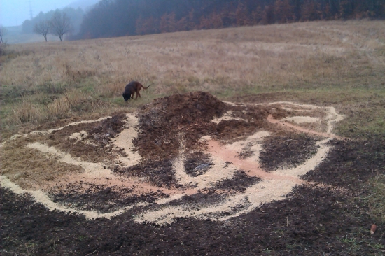 počasie ako v jari ale aj tak treba prikrmovať :)