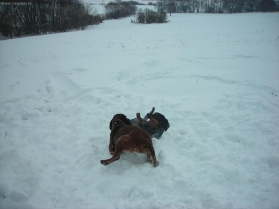 šantenie kopova s farbiarikom :D