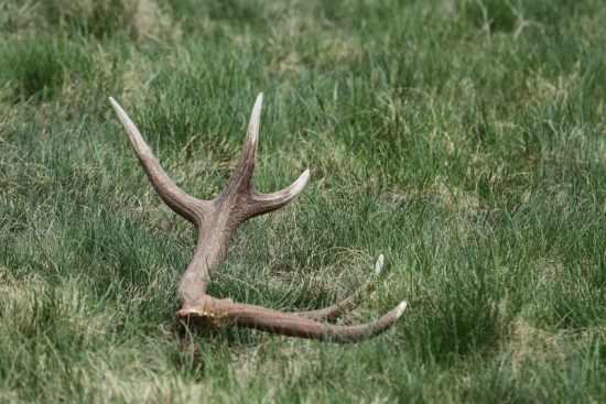 konecne som mal aj ja stastie