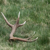 konecne som mal aj ja stastie