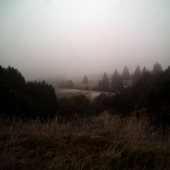 hmlisté prebúdzanie