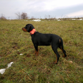 brixo