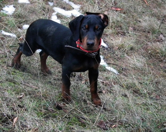 Ja som to nebol, naozaj!! :)