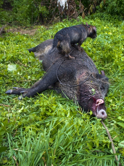 Badyho prva skusenost