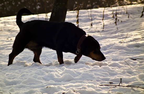 mmmm.. toto vonia zaujimavo