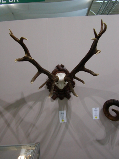 náš národný rekord