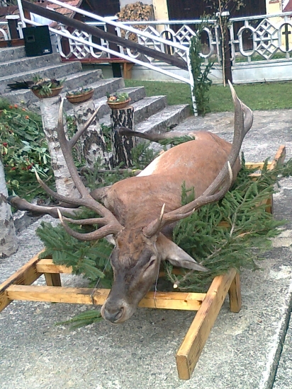 názov: Polovné združenie Javorník C.L DNI sv.Huberta- 10.9.2011