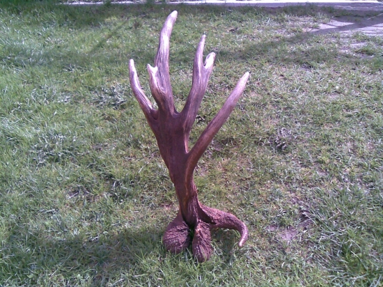 Kamarátova -TOP-abnormalita