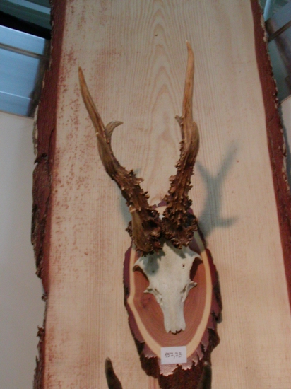 expozícia-SRBSKO-ORGINAL ČI ODLIATOK?