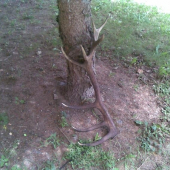 moj krstovny zhod-r.cca.1986