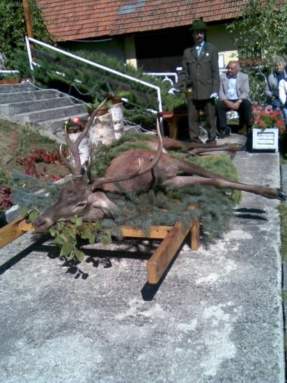 dni huberta 13.9.2008