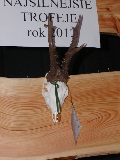 Ch.P-Bánovce n./Bebr srnec-133,15 cic