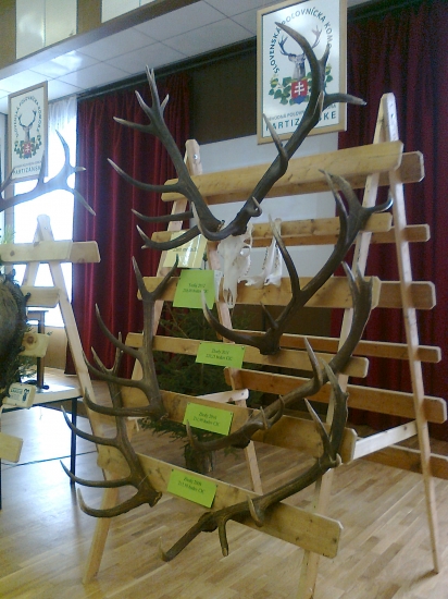 KAPITALNYJeleň-238,08 cic,vek-17-r