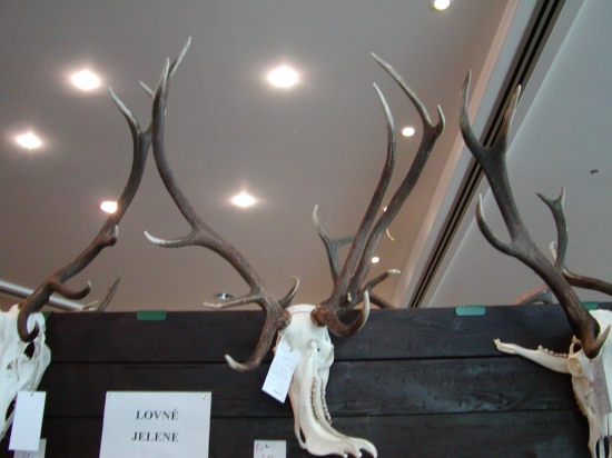 super- jelenia abnormlita