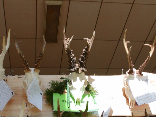 Chovatelská prehliadka trofejí-okr,Bánovce nad/Bebravou