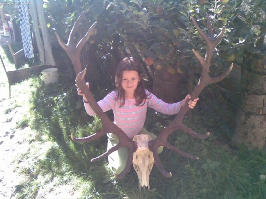 POPLATKOVY 14-ta vychadzka po vyvareni 194-cic ,13 r.