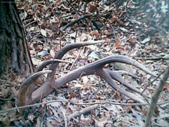 r.2008 3,10kg-14torak